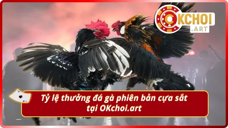 Tỷ lệ thưởng đá gà cựa sắt cần nắm rõ