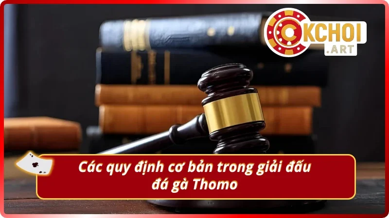 Những quy định chung cần biết về đá gà Thomo hôm nay