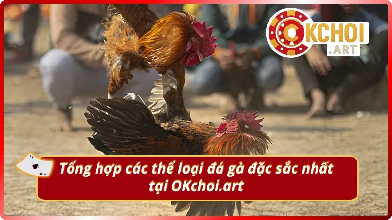 Những hình thức đá gà trực tuyến hấp dẫn không thể bỏ qua