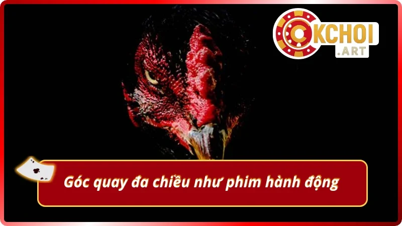 Góc quay đa chiều xem đá gà trực tiếp cực đã