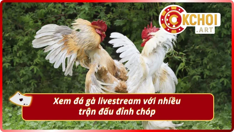 Không khí xem trực tuyến cuồng nhiệt như ngoài đời 